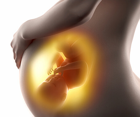 Pregnant woman with fetus 3D concept