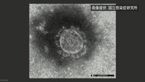 花粉症の症状でだるい…頭痛や寒気・微熱 ...